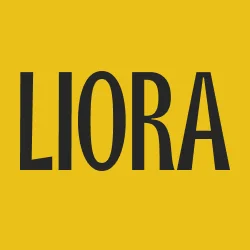 Liora - Handcrafted Bags Shopify Store